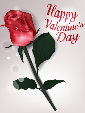 Valentines Day rose cards design vector 04