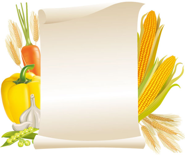 Message Paper and food elements vector