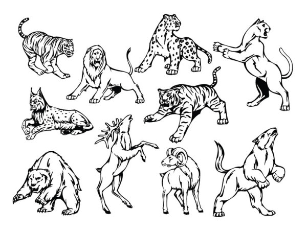Hand drawn different Animal design vector