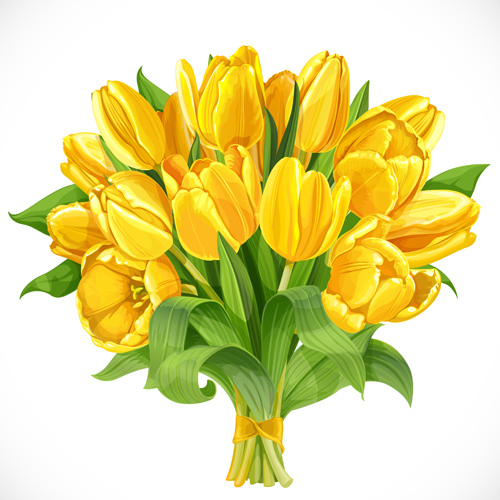 yellow tulips beautiful 