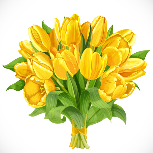 Beautiful yellow tulips vector