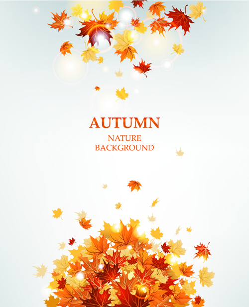 vector background Backgrounds background autumn leaves 