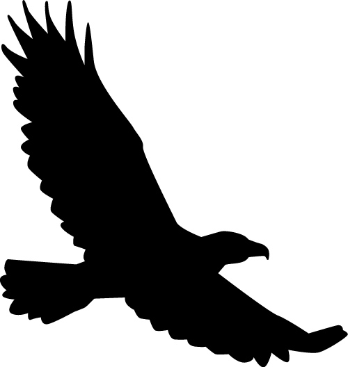 Eagle silhouette vector illustration