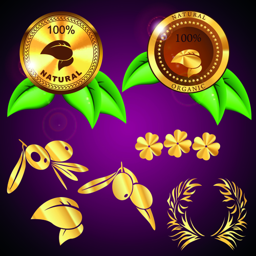 Golden olives and labels vector
