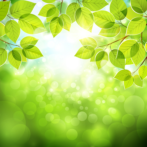 s with sunlight vector background 02 Summer green leaves with sunlight vector background 02