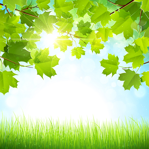 s with sunlight vector background 03 Summer green leaves with sunlight vector background 03