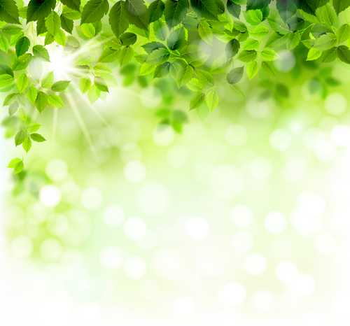 Sunlight with green leaves shiny background vector 01
