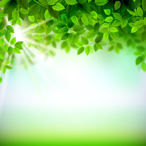 Sunlight with green leaves shiny background vector 02