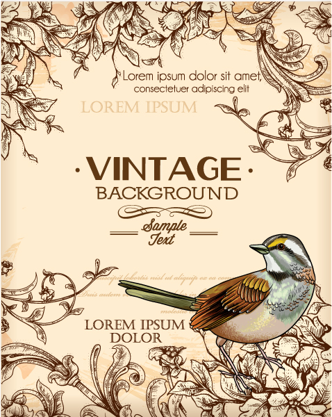 Huge collection of Vintage background vector 05