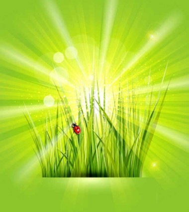 Grass with sunlight green background shiny vector Grass with sunlight green background shiny vector