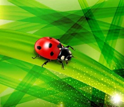Ladybug and green nature background vector Ladybug and green nature background vector