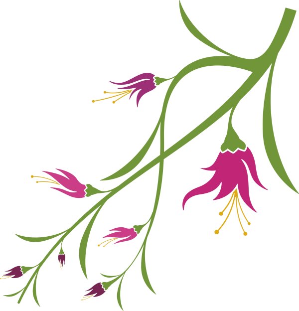 Vivid with flower elements vector graphics