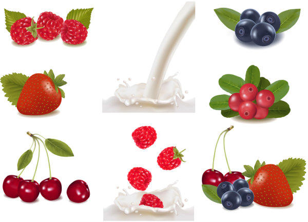 free Fruit Milk vector 02