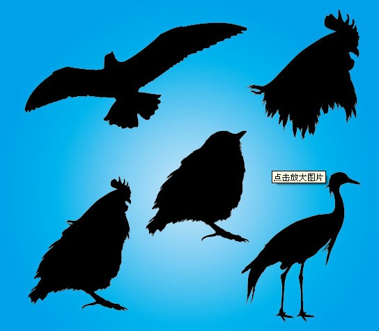 Free Vector Animals Silhouettes 02