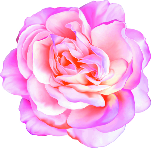 Beautiful flower set vector material 04