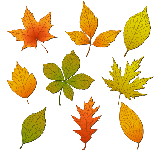 vector background leave bright Backgrounds background autumn leaves 