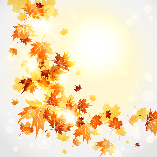 Bright autumn leaves vector backgrounds 08
