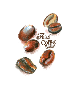 Hand drawing coffee beans 
