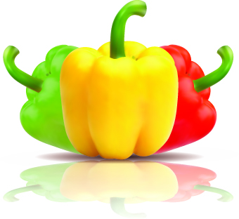 Fresh vegetables vector set 03