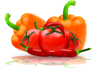 Fresh vegetables vector set 04