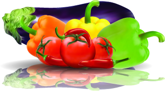 Fresh vegetables vector set 05