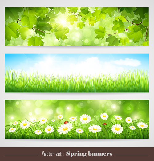 Spring natural banners vector set 01 Spring natural banners vector set 01