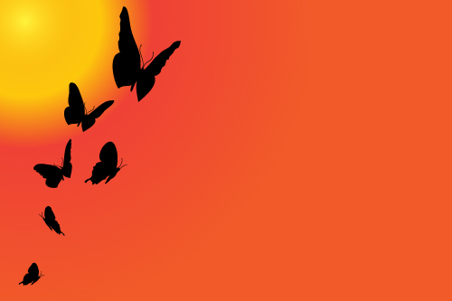 Sunset with butterfly silhouette vector material 04