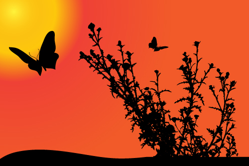 sunset silhouette butterfly 