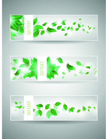 Classic banner design vector 05