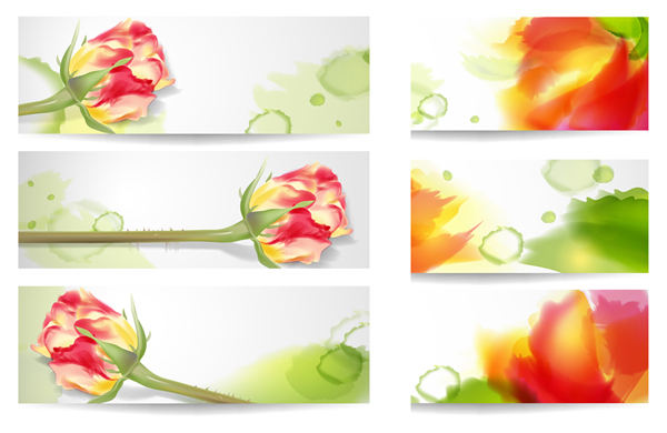 Rose banner vector