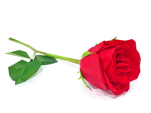 Beautiful roses vector material 05