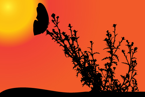 sunset silhouette butterfly 