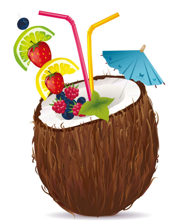 Coconut design elements vector graphic 01