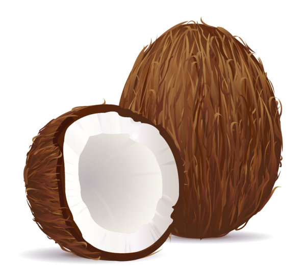 elements element coconut 