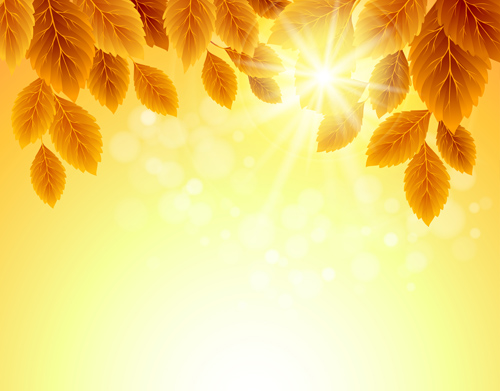 Autumn Golden yellow background vector 02