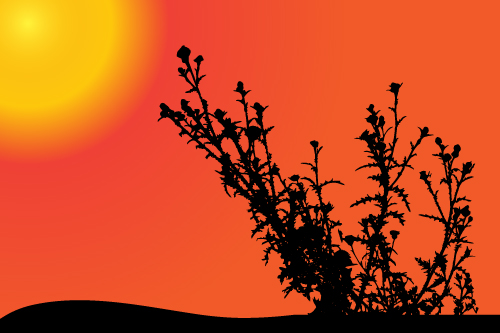 Sunset with plant silhouette vector