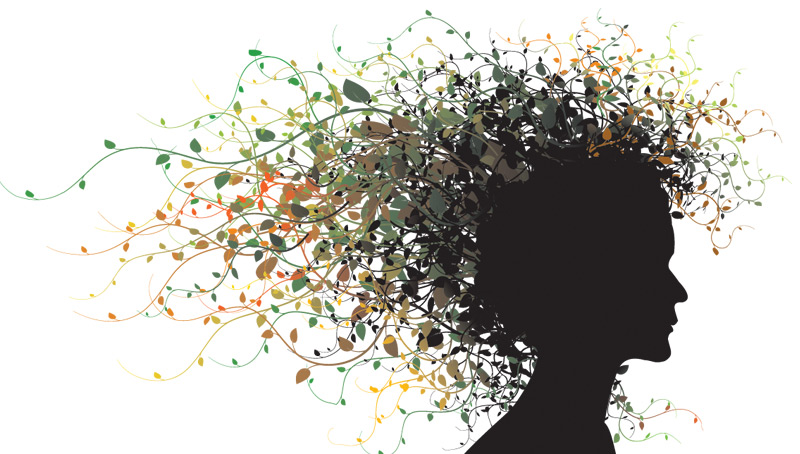 Border hair vector