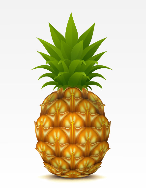 pineapple elements element 
