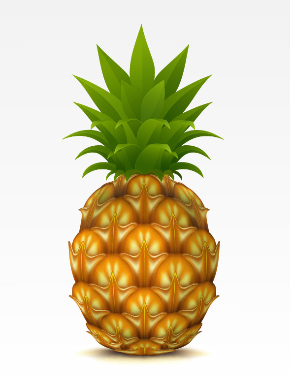 Pineapple design elements vector graphic 01
