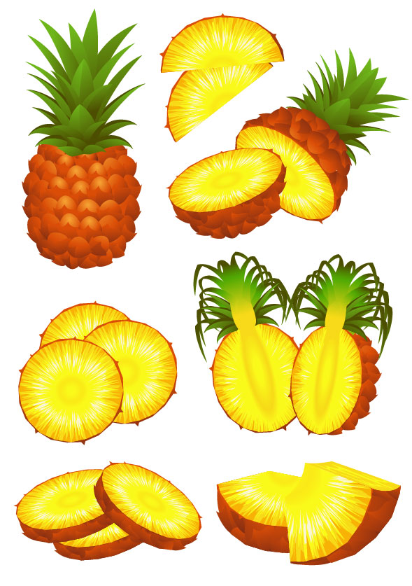 pineapple elements element 