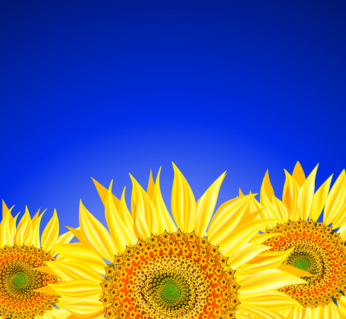 Beautiful sunflowers background vector 01
