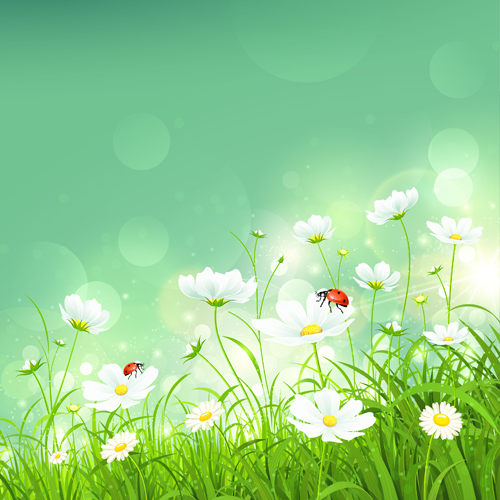 Coccinella and white flower shiny background vector