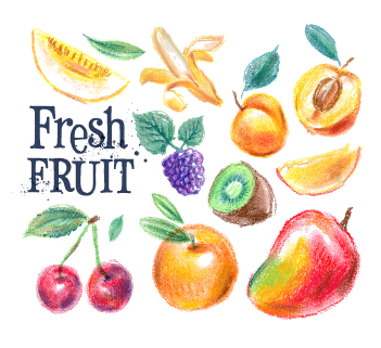 fruits drawn colored 