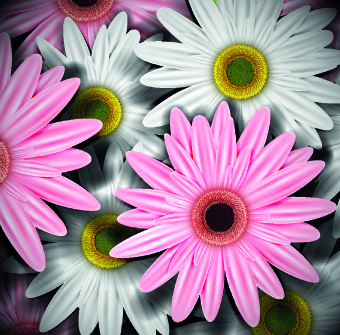 Vintage Flowers illustration vector 01