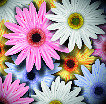 Vintage Flowers illustration vector 02