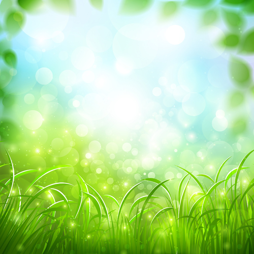 Green grass with halation background vector