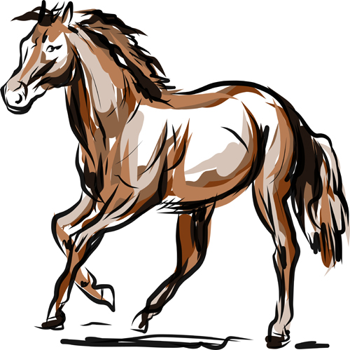 horses horse creative 2014 