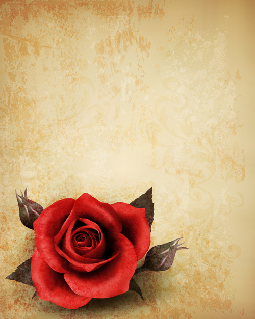 vintage roses rose background vector background 