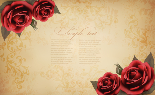 Roses and Vintage background vector 06