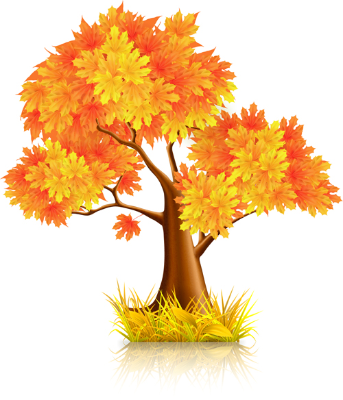 Beautiful autumn elements vector set 01